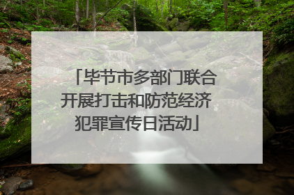 毕节市多部门联合开展打击和防范经济犯罪宣传日活动