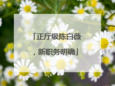 正厅级陈白薇，新职务明确