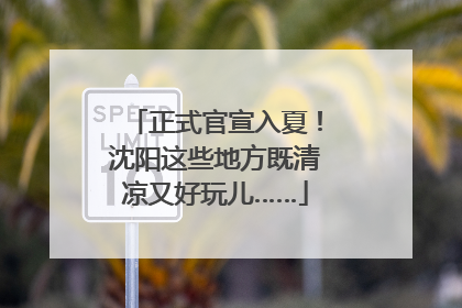 正式官宣入夏！沈阳这些地方既清凉又好玩儿……
