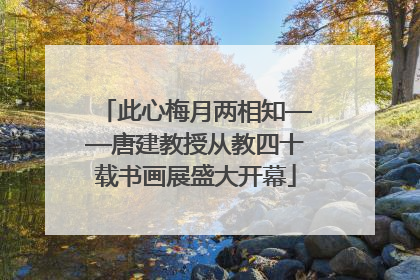 此心梅月两相知——唐建教授从教四十载书画展盛大开幕
