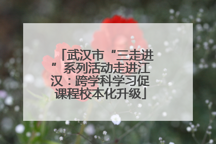 武汉市“三走进”系列活动走进江汉：跨学科学习促课程校本化升级