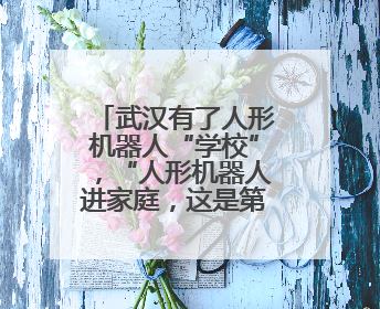 武汉有了人形机器人“学校”，“人形机器人进家庭，这是第一步”