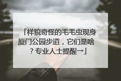 样貌奇怪的毛毛虫现身厦门公园步道，它们是啥？专业人士提醒→