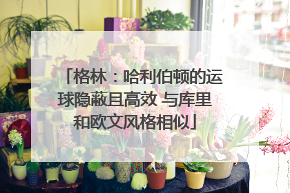 格林：哈利伯顿的运球隐蔽且高效 与库里和欧文风格相似