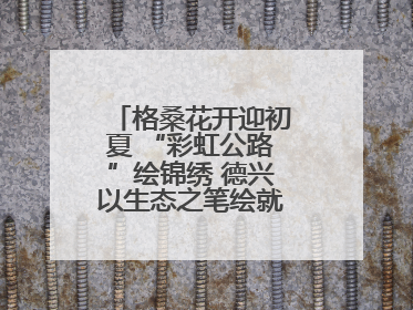 格桑花开迎初夏 “彩虹公路”绘锦绣 德兴以生态之笔绘就宜居幸福图景