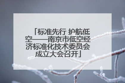 标准先行 护航低空——南京市低空经济标准化技术委员会成立大会召开