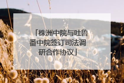 株洲中院与吐鲁番中院签订司法调研合作协议