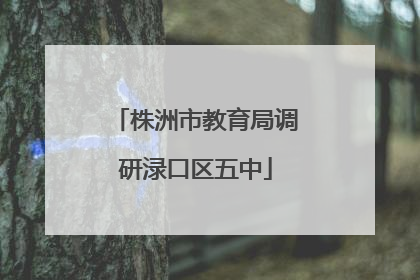 株洲市教育局调研渌口区五中