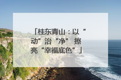 桂东青山：以“动”治“净” 擦亮“幸福底色”