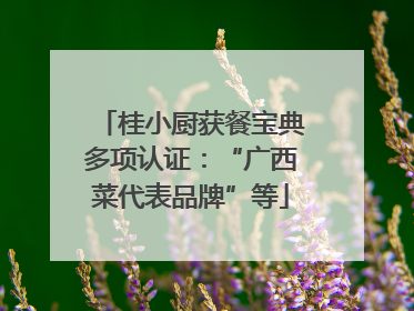 桂小厨获餐宝典多项认证：“广西菜代表品牌”等