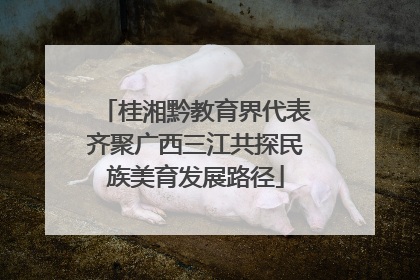 桂湘黔教育界代表齐聚广西三江共探民族美育发展路径