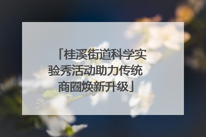 桂溪街道科学实验秀活动助力传统商圈焕新升级
