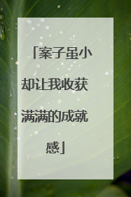 案子虽小却让我收获满满的成就感