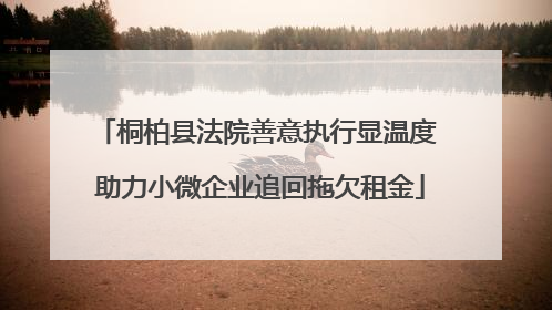 桐柏县法院善意执行显温度 助力小微企业追回拖欠租金