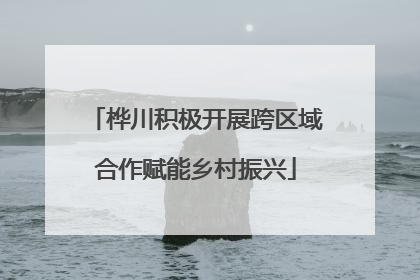 桦川积极开展跨区域合作赋能乡村振兴