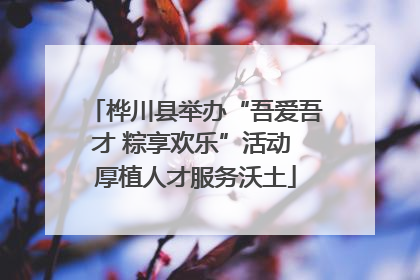 桦川县举办“吾爱吾才 粽享欢乐”活动 厚植人才服务沃土