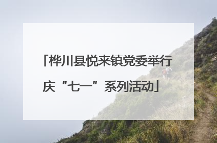 桦川县悦来镇党委举行庆“七一”系列活动