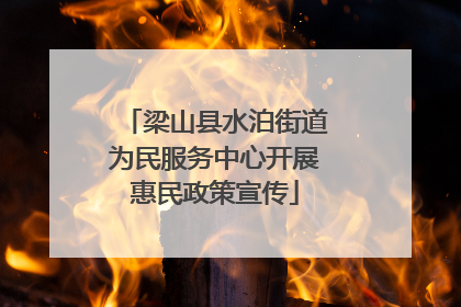 梁山县水泊街道为民服务中心开展惠民政策宣传