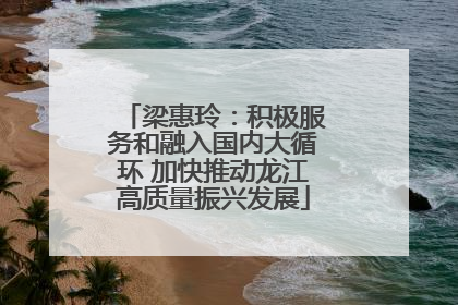 梁惠玲：积极服务和融入国内大循环 加快推动龙江高质量振兴发展