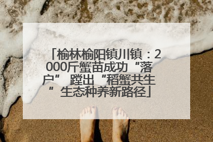 榆林榆阳镇川镇：2000斤蟹苗成功“落户” 蹚出“稻蟹共生”生态种养新路径