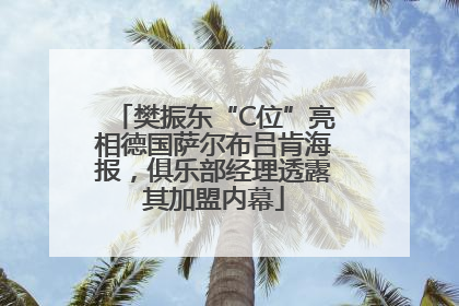 樊振东“C位”亮相德国萨尔布吕肯海报，俱乐部经理透露其加盟内幕
