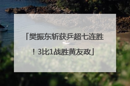 樊振东斩获乒超七连胜！3比1战胜黄友政