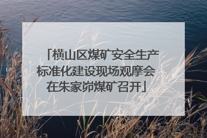 横山区煤矿安全生产标准化建设现场观摩会在朱家峁煤矿召开