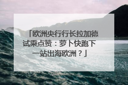 欧洲央行行长拉加德试乘点赞：萝卜快跑下一站出海欧洲？