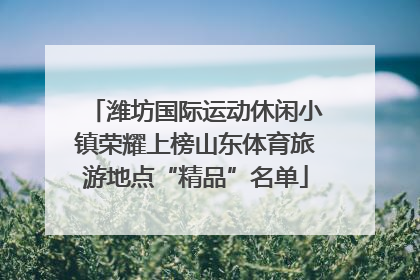 潍坊国际运动休闲小镇荣耀上榜山东体育旅游地点“精品”名单