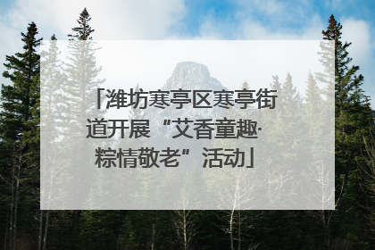 潍坊寒亭区寒亭街道开展“艾香童趣·粽情敬老”活动
