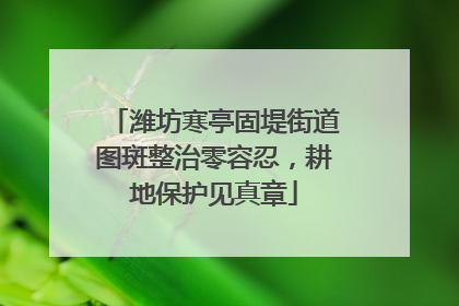 潍坊寒亭固堤街道图斑整治零容忍，耕地保护见真章