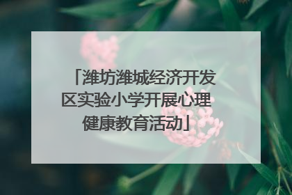潍坊潍城经济开发区实验小学开展心理健康教育活动