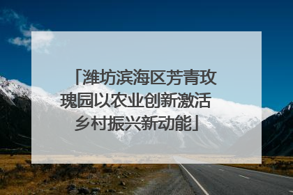 潍坊滨海区芳青玫瑰园以农业创新激活乡村振兴新动能