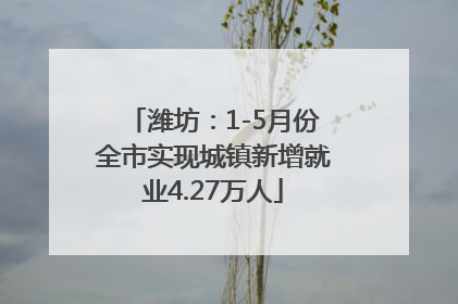 潍坊：1-5月份全市实现城镇新增就业4.27万人