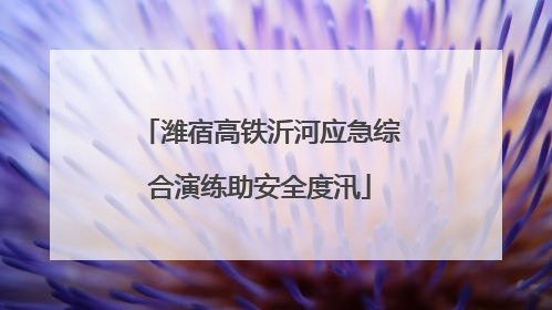 潍宿高铁沂河应急综合演练助安全度汛