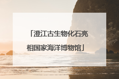 澄江古生物化石亮相国家海洋博物馆