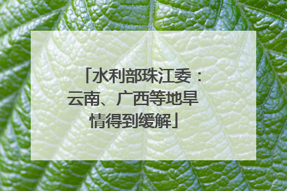 水利部珠江委：云南、广西等地旱情得到缓解