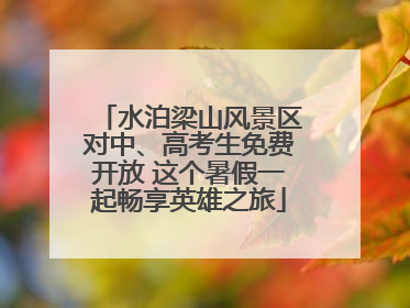 水泊梁山风景区对中、高考生免费开放 这个暑假一起畅享英雄之旅
