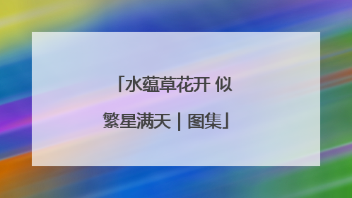 水蕴草花开 似繁星满天｜图集