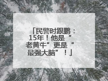 民警时跟鹏：15年！他是“老黄牛”更是“最强大脑”！
