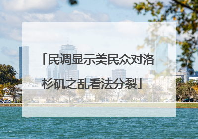 民调显示美民众对洛杉矶之乱看法分裂