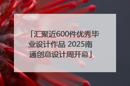 汇聚近600件优秀毕业设计作品 2025南通创意设计周开幕