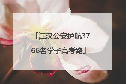 江汉公安护航3766名学子高考路