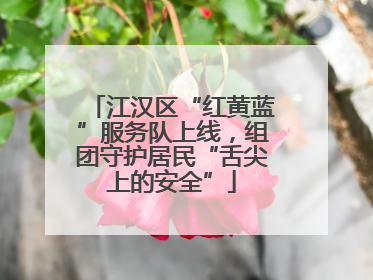 江汉区“红黄蓝”服务队上线，组团守护居民“舌尖上的安全”