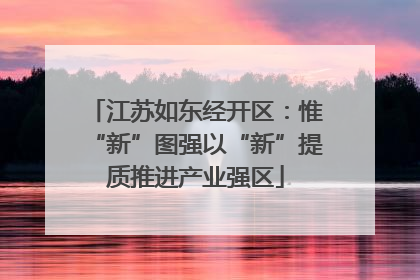 江苏如东经开区：惟“新”图强以“新”提质推进产业强区