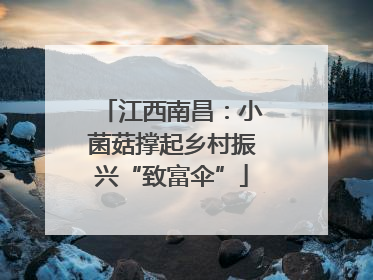 江西南昌：小菌菇撑起乡村振兴“致富伞”