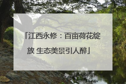 江西永修：百亩荷花绽放 生态美景引人醉