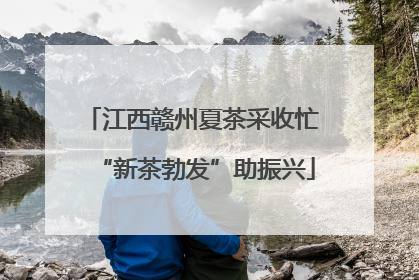 江西赣州夏茶采收忙 “新茶勃发”助振兴