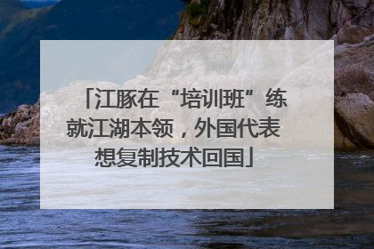 江豚在“培训班”练就江湖本领，外国代表想复制技术回国