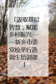汲取基层智慧，赋能乡村振兴——新乡市委党校举行选调生培训课